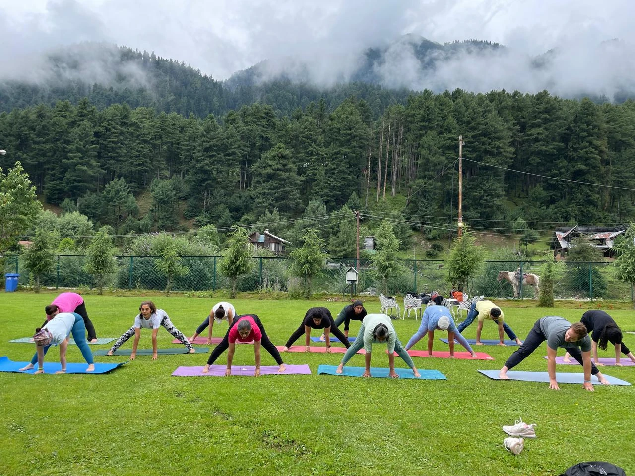 Yoga Retreats - Hridayam Wellness 2